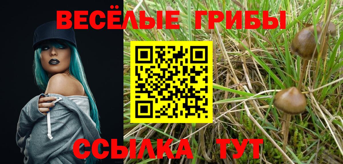 Галлюциногенные грибы ЛСД  Галлюциногенные грибы ЛСД  Коммунар  Вход с VPN 
