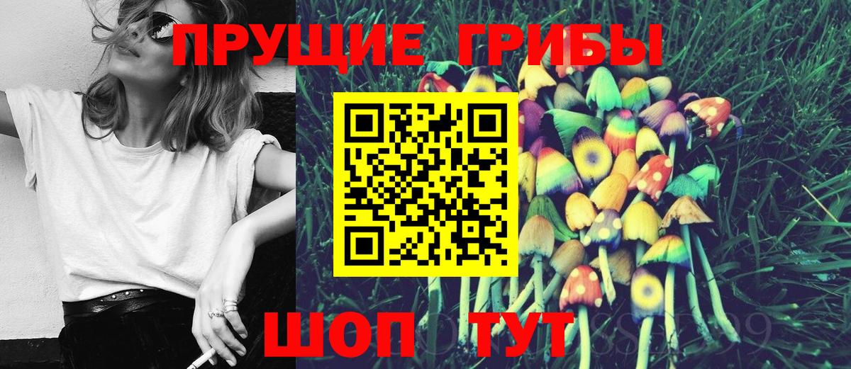 Псилоцибиновые грибы Psilocybe Коммунар